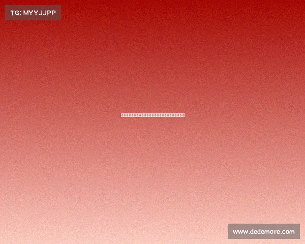 菲利克斯的传奇旅程从奇幻世界到英雄传说的探索与成长